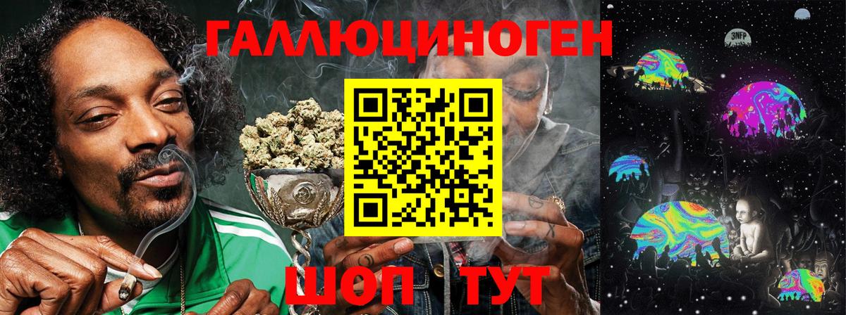 Псилоцибиновые грибы Psilocybine cubensis  Вход с VPN  Алейск 