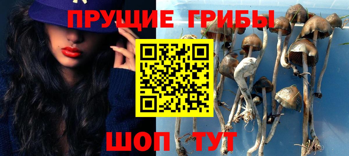 Псилоцибиновые грибы ЛСД Алейск